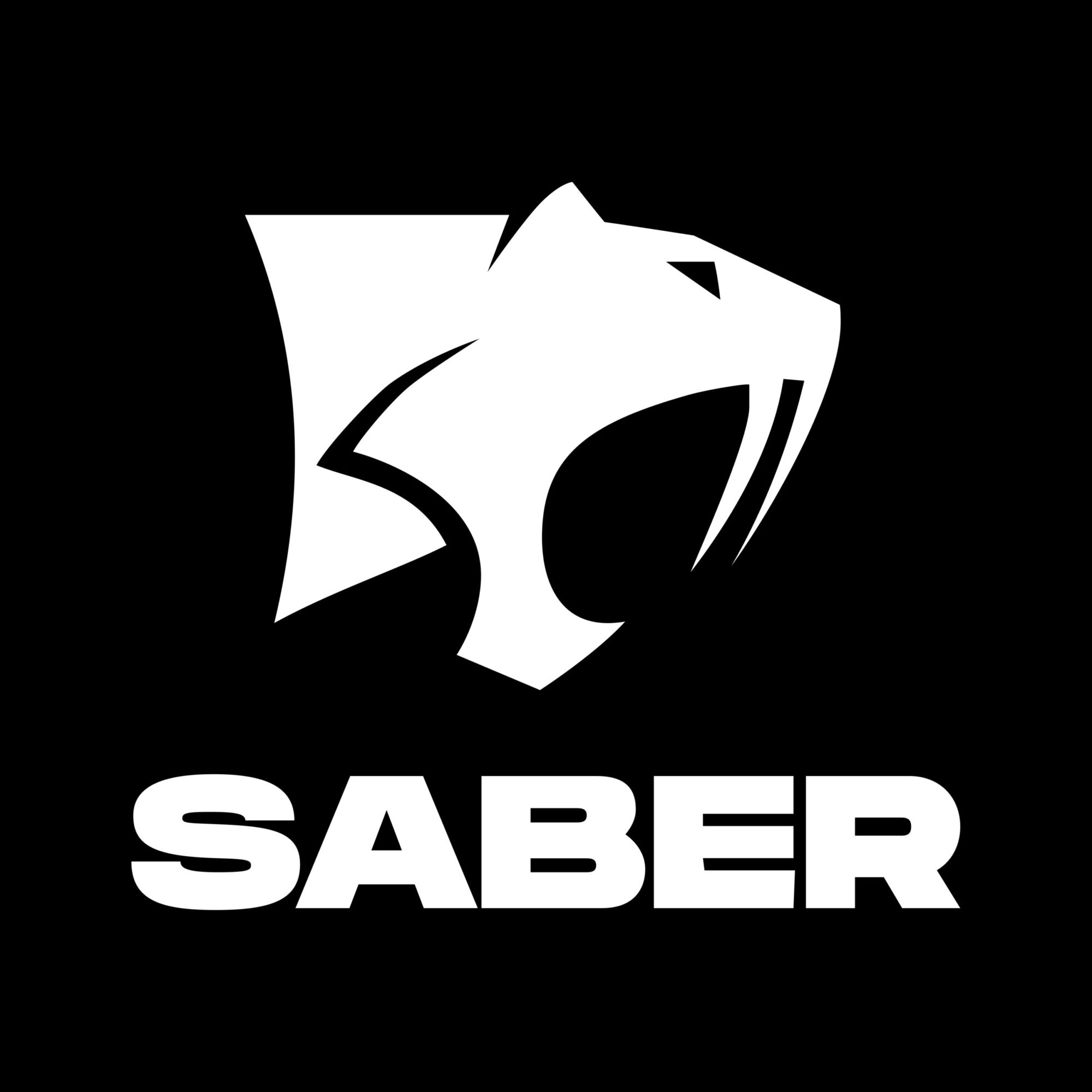 Saber Interactive Incorporated