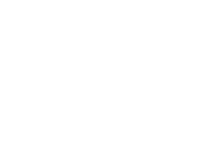 HeatX