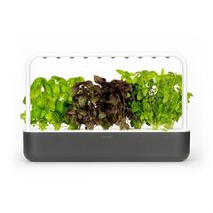 Click and Grow - Smart Garden 9 Starter kit (Color: White) (SG-015) / Home and Kitchen Decor Home & Kitchen