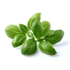Click and Grow - Smart Garden Refill 3-pack - Basil (SGR3X3) / Home and Kitchen Decor Home & Kitchen