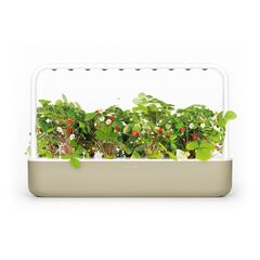 Click and Grow - Smart Garden 9 Starter kit (Color: Dark Gray) (SG9S8UNI) / Home and Kitchen Decor Home & Kitchen