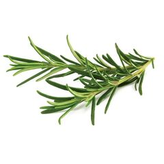 Click and Grow - Smart Garden Refill 3-pack - Rosemary (SGR51X3) / Home and Kitchen Decor Home & Kitchen