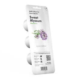 Click and Grow - Smart Garden Refill 3-pack Sweet Alyssum / Home and Kitchen Indoor Garden Home & Kitchen