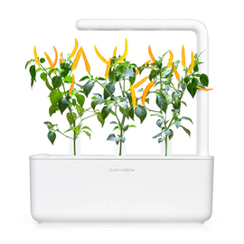 Click and Grow -- Smart Garden Refill 3-pack Yellow Chili Pepper / Home and Kitchen Indoor Garden Home & Kitchen