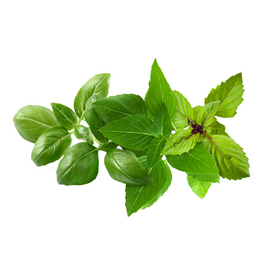 Click and Grow - Smart Garden Refill 9-pack Basil Variety Mix / Home and Kitchen Indoor Garden Home & Kitchen