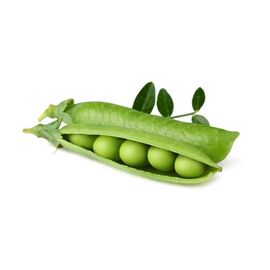 Click and Grow - Smart Garden Refill 3-pack Dwarf Pea / Home and Kitchen Indoor Garden Home & Kitchen
