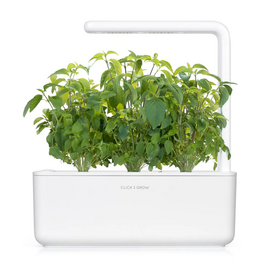 Click and Grow - Smart Garden Refill 3-pack Thai Basil / Home and Kitchen Indoor Garden Home & Kitchen