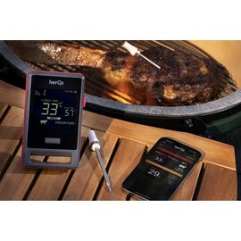 HerQs Pin Pro - Wireless Thermometer / Home and Kitchen Κουζίνα Σπίτι & Κουζίνα