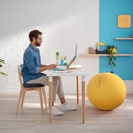 Leitz - Ergo Cozy seat cushion - Grey / Home and Kitchen Uncategorized (Home & Kitchen) Home & Kitchen
