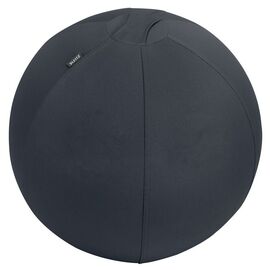 Leitz - Ergo Balance ball anti-roll-away 55cm - Dark grey / Home and Kitchen Uncategorized (Home & Kitchen) Home & Kitchen
