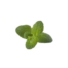 Click and Grow - Smart Garden Refill 3-pack - Apple Mint (SGR79X3) / Home and Kitchen Indoor Garden Home & Kitchen