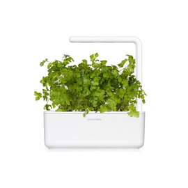 Click and Grow - Smart Garden Refill 3-pack Plain Parsley / Home and Kitchen Indoor Garden Home & Kitchen