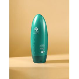 Arganmidas - Rosemary Mint Revitalizing Shampoo - 450ml / Beauty Γυναικεία Σαμπουάν Περιποίηση Μαλλιών