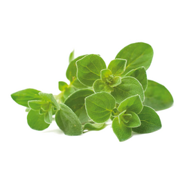Click and Grow - Smart Garden Refill 3-pack Oregano / Home and Kitchen Uncategorized (Home & Kitchen) Home & Kitchen