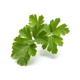 Click and Grow - Smart Garden Refill 3-pack - Parsley (SGR13X3) / Home and Kitchen Uncategorized (Home & Kitchen) Home & Kitchen