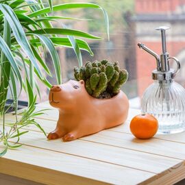 Kikkerland - Cappy the Capybara Planter - Large / Home and Kitchen Uncategorized (Home & Kitchen) Home & Kitchen