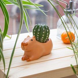 Kikkerland - Cappy the Capybara Planter Small - 4.5 x 2.5 x 2.5 / Home and Kitchen Uncategorized (Home & Kitchen) Home & Kitchen