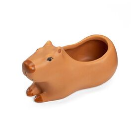 Kikkerland - Cappy the Capybara Planter Small - 4.5 x 2.5 x 2.5 / Home and Kitchen Uncategorized (Home & Kitchen) Home & Kitchen
