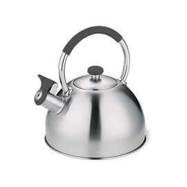 Kettle MAESTRO MR-1323 stainless steel 2.5 l Kitchen Home & Kitchen