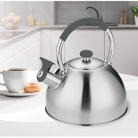 Kettle MAESTRO MR-1323 stainless steel 2.5 l Kitchen Home & Kitchen