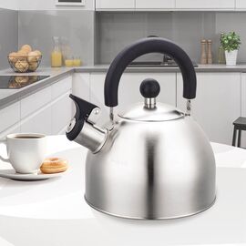 Maestro MR-1300 kettle 2 L Silver Kitchen Home & Kitchen