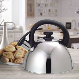 Maestro MR-1302 kettle 2.5 L Stainless steel Kitchen Home & Kitchen