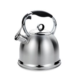 Maestro MR-1334 kettle 2.9 L Stainless steel Kitchen Home & Kitchen
