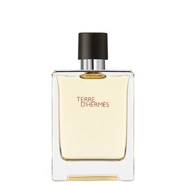 Hermés - Terre d'Hermès EDT 100 ml / Beauty Αταξινόμητα (Ομορφιά)