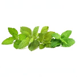 Click & Grow - Plant Pods 9-Pack – Calming Tea Mix / Home and Kitchen Uncategorized (Home & Kitchen) Home & Kitchen