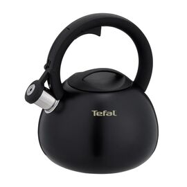 Non-Electric Kettle TEFAL N4180410, Black, Matte