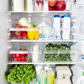 ROTHO LOFT Fridge Organizer 1.6 L