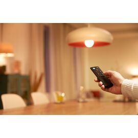 WiZ - Remote Control GenII EU / Home and Kitchen Lightning Home & Kitchen