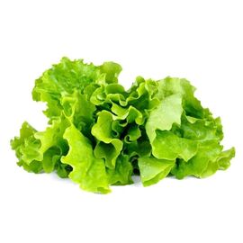 Click and Grow - Smart Garden Refill 3-pack - Green Lettuce (SG-019) / Home and Kitchen Decor Home & Kitchen