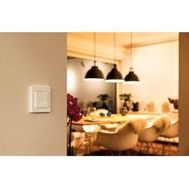 Eve Light Switch - Connected Wall Switch with Apple HomeKit technology / Home and Kitchen Lightning Home & Kitchen
