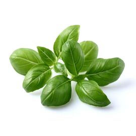Click and Grow - Smart Garden Refill 3-pack - Basil (SGR3X3) / Home and Kitchen Διακόσμηση Σπίτι & Κουζίνα