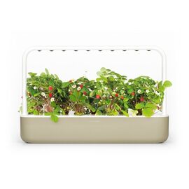 Click and Grow - Smart Garden 9 Starter kit (Color: Dark Gray) (SG9S8UNI) / Home and Kitchen Διακόσμηση Σπίτι & Κουζίνα