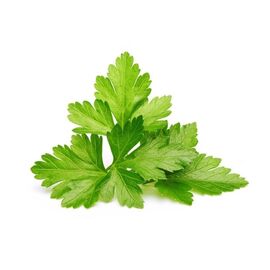 Click and Grow - Smart Garden Refill 3-pack - Cilantro/Coriander (SGR45X3) / Home and Kitchen Διακόσμηση Σπίτι & Κουζίνα