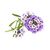Click and Grow - Smart Garden Refill 3-pack Sweet Alyssum / Home and Kitchen Indoor Garden Home & Kitchen