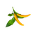 Click and Grow -- Smart Garden Refill 3-pack Yellow Chili Pepper / Home and Kitchen Indoor Garden Home & Kitchen