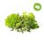 Click and Grow - Smart Garden Refill 9-pack Grill & Steak Mix / Home and Kitchen Indoor Garden Home & Kitchen