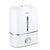 Beurer - LB 45 Humidifier - 3 Years Warranty / Home and Kitchen Συσκευές Σπίτι & Κουζίνα