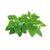 Click and Grow - Smart Garden Refill 3-pack - Catnip (SGR29X3) / Home and Kitchen Indoor Garden Home & Kitchen