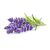 Click and Grow - Smart Garden Refill 3-pack - Lavender (SGR30X3) / Home and Kitchen Indoor Garden Home & Kitchen