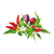 Click and Grow - Smart Garden Refill 9-pack Chili Pepper Mix / Home and Kitchen Indoor Garden Home & Kitchen