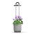 Click and Grow - HydroVase - Grey / Home and Kitchen Indoor Garden Home & Kitchen