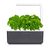 Click and Grow - Smart Garden 3 Start kit (Color: Dark Gray) (SGS8UNI) / Home and Kitchen Uncategorized (Home & Kitchen) Home & Kitchen