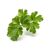 Click and Grow - Smart Garden Refill 3-pack - Parsley (SGR13X3) / Home and Kitchen Αταξινόμητα (Σπίτι & Κουζίνα) Σπίτι & Κουζίνα