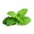 Click and Grow - Smart Garden Refill 3-pack - Peppermint (SGR22X3) / Home and Kitchen Uncategorized (Home & Kitchen) Home & Kitchen