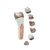 Beautifly - Body Care Device B-Beauty 6-i-1 / Health and Personal Care Αταξινόμητα (Ομορφιά)