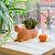 Kikkerland - Cappy the Capybara Planter - Large / Home and Kitchen Uncategorized (Home & Kitchen) Home & Kitchen